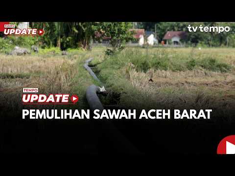 West Aceh Rice Field Recovery Continues Post-Disaster