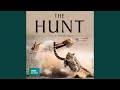 Hunting Humpbacks Hunting Humpbacks