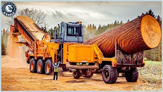 50 Dangerous Monster Wood Chipper Machines in Action