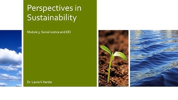 SNHU IDS-150 Module 3: Sustainability and Social Justice
