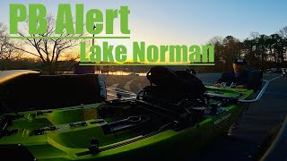 I thought I was ON them, but I STRUGGLED Lake Norman, NC PB Spotted Bass Daiwa Machine Gun Cast I