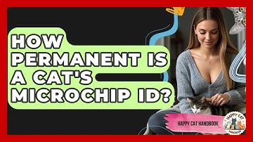 How Permanent Is A Cat