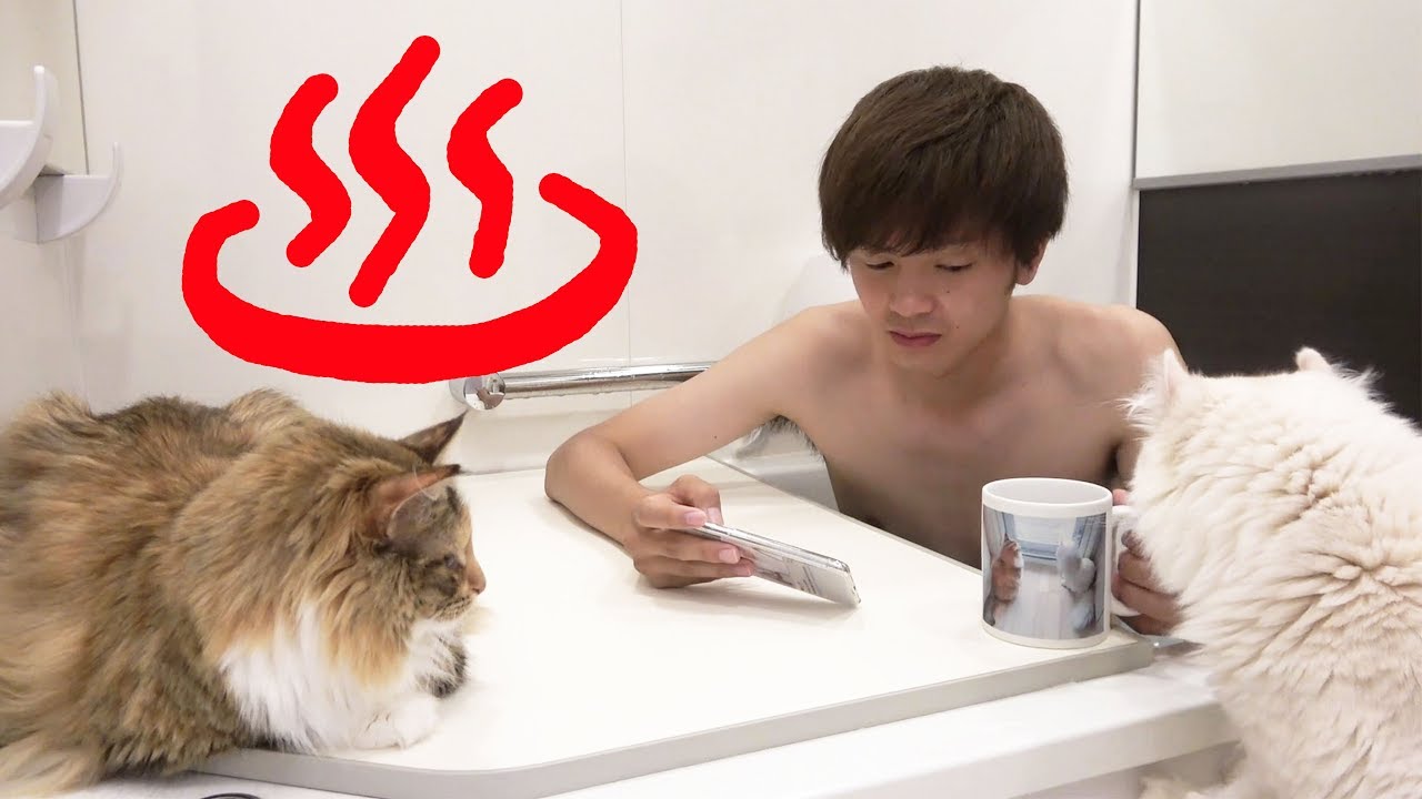 猫と一緒にお風呂入ってみた 新居編 Youtube 猫と一緒にお風呂入ってみた 新居編 Youtube