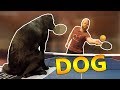Ping pong avec tira le chien