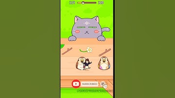 🐱 Hide and Seek: Cat Escape! #13 - Can You Beat This Impossible Level? 😱