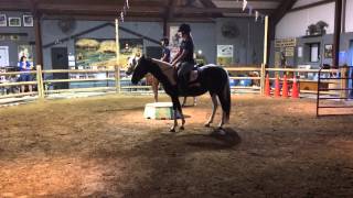 2014 Chincoteague Pony Drill Team