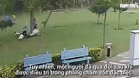 Khoảnh khắc 4 người trú mưa dưới gốc cây bị sét đánh