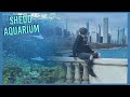 Chicago aquarium  shedd aquarium