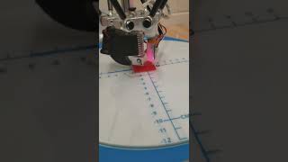 Biqu Kossel Pro First Run..