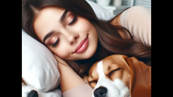 Bridget likes food slightly more 😂 #43 #dogs #englishmastiff #husky