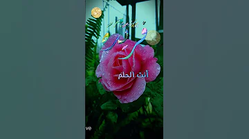 ابيات شعر على اسم حبيبتي فريدة Ali اكسبلور Erfan Farida 