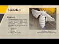 Introduction to Sericulture and Varieties of Silkmoth