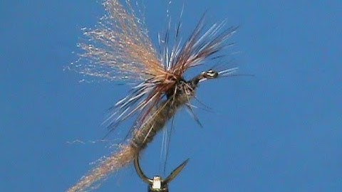 Fly Tying for Beginners Adams Parachute Shuck with Jim Misiura