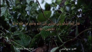 تلاوة روعة من سورة يوسف للقارئ وديع اليمنى ( اقل من دقيقة )