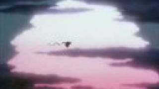 A Tribute To Bird Pokemon Meant To Live