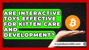 Are Interactive Toys Effective for Kitten Care and Development? | Happy Cat Handbook