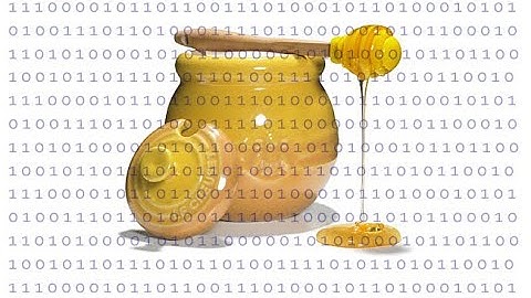 SSH Honey Pot. #security #ubuntu #cyberdefense