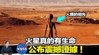 Download Lagu 一塊神秘的「豹紋石頭」,竟是NASA發現的最強生命鐵證?揭開火星三十五億年前的古老謎團! | 馬臉姐 MP3 Download Lagu 一塊神秘的「豹紋石頭」,竟是NASA發現的最強生命鐵證?揭開火星三十五億年前的古老謎團! | 馬臉姐 MP3