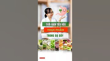 [S5] Thời gian tiêu hoá của thực phẩm trong dạ dày | DSHL #daudaday #tràongượcdạdàythựcquản
