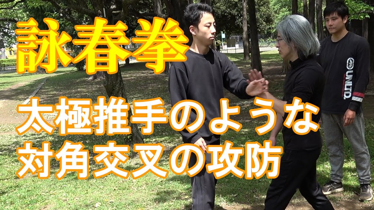太極推手のような対角交叉の攻防|葉問派・詠春拳|東京 - YouTube