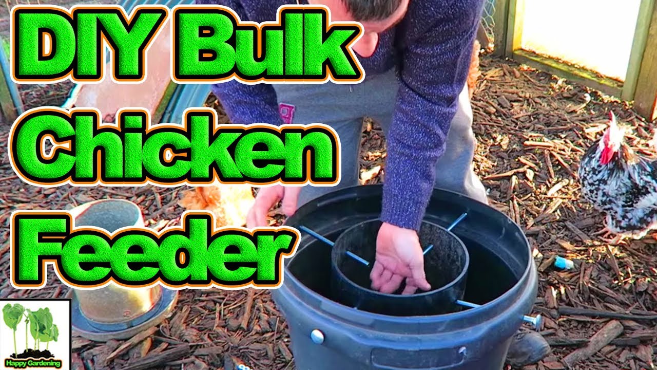 DIY Bulk No Mess Chicken Feeder - YouTube