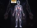हमारा शरीर कैसे काम करता है? | कोशिकाओं और DNA का रहस्य The Human Body: An Amazing Machine |