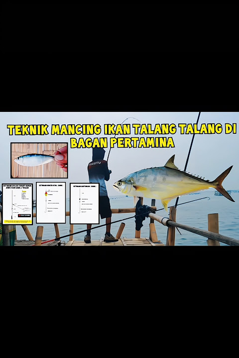 FULL VIDEO ⬆️ TEKNIK MANCING IKAN TALANG TALANG DI BAGAN PERTAMINA