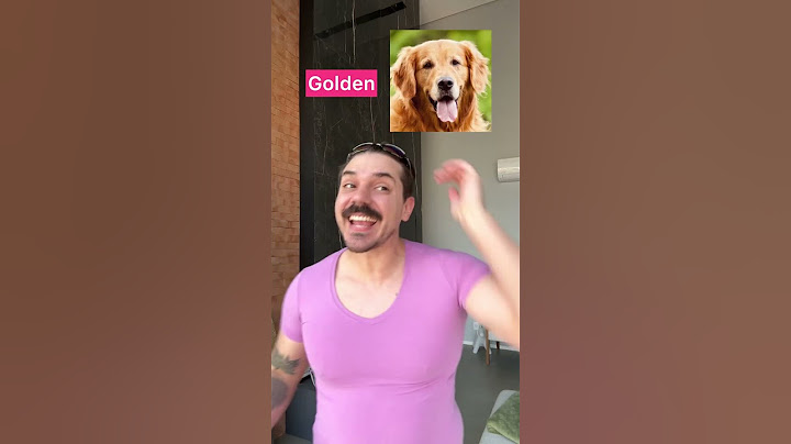 RAÇAS DE CÃES INDO ASSISTIR BARBIE