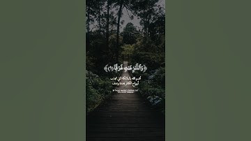 ماتيسر من سورة النازعات بصوتٍ رقيقٍ عذب ♥️🌿