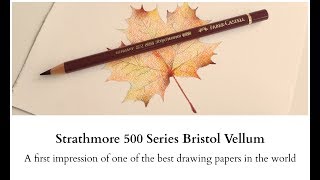 Strathmore 500 Series Bristol Vellum - A first impression