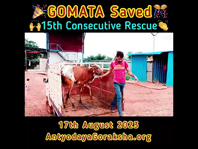 17 Aug 2023 - FIFTEENTH RESCUE