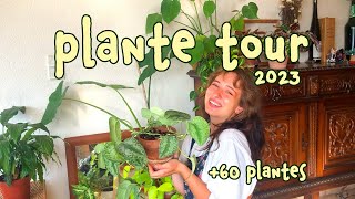 plante tour 60+ plantes 🌱 (2023)