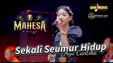 SEKALI SEUMUR HIDUP Ayu Cantika // MAHESA MUSIC #dhehan_audio 