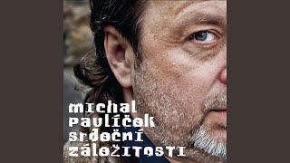 Video thumbnail of "Michal Pavlíček - Pro tebe"