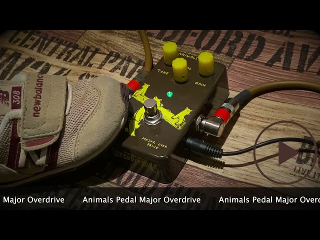 【美品】Animals Pedal Major Overdrive