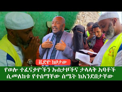 ቪዲዮ: የተሰማቸው መጫወቻዎች-የትርፍ ጊዜ ማሳለፊያዎች እና የትርፍ ሰዓት ሥራዎች