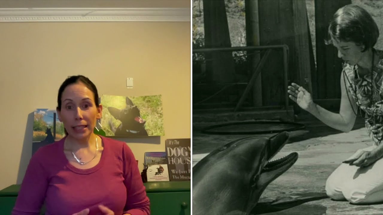 Hogyan lesz hatékony a pozitív megerősítés