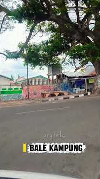 maumere of flores#maumere2025 #sikka #mof #kampunghalaman #bale #pesonamaumere