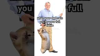 halo boss #viral #feedshorts #shortsfeed #shorts