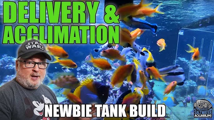 QUARANTINE TANK Set-Up - Newbie Tank Build 