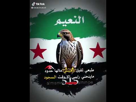 مازن عساف قبيلة النعيم 515 الهواشم 515