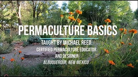 Permaculture Basics: Part 1 of 4, Origins and Ethics of Permaculture