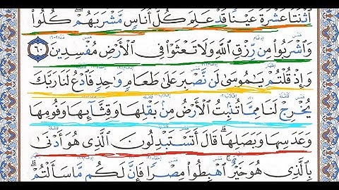كيف تقرأ سورة البقرة مع شرح أحكام التجويد   58-61 💚 احمد البربرى