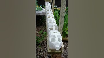 Cheap & Easy Gardening #reducereuserecycle  #garden