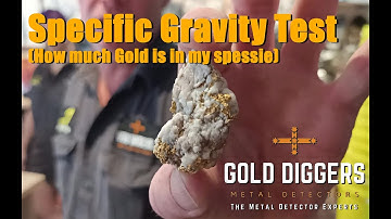 Specific Gravity Test, How much Gold is in my specie