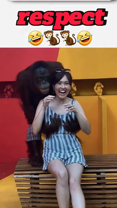 Respect video lucu bikin ngakak #shorts #shortsvideo #lucu #fypシ゚viral