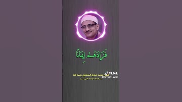 "تلاوة تجعل القلب يبكي قبل العين | بصوت المنشاوي"