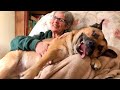 When He’s YOUR Dog But Grandma Gets All The Love 😁 FUNNIEST Dogs and Humans Video!