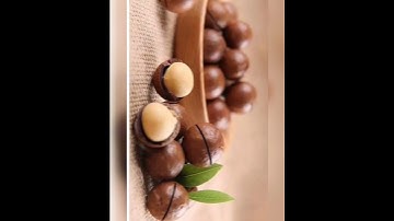 Macadamia nuts is really delicious try it #macadamia #asmr #delicious #yummy #shorts #ytshorts