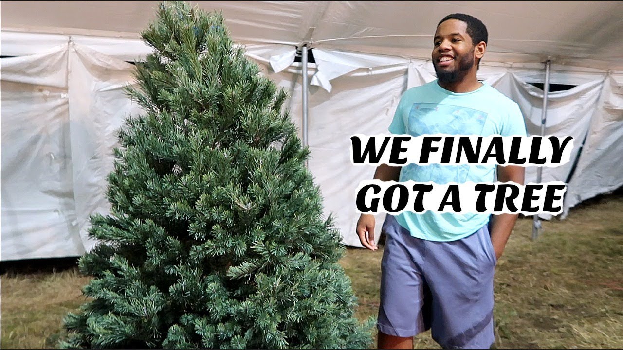VLOGMAS Day 13 | WE FINALLY GOT A TREE - YouTube